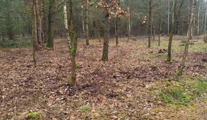 Działka budowlana Grodzisk