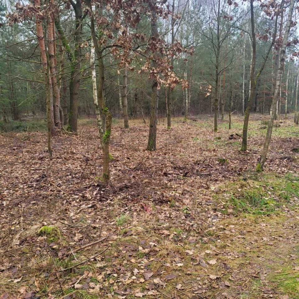 Działka budowlana Grodzisk