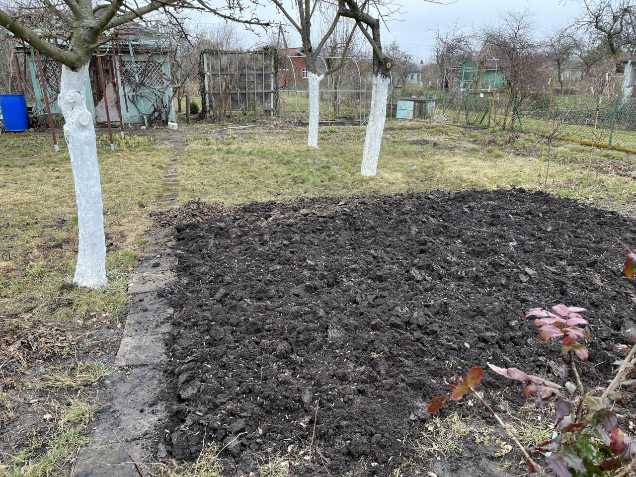 Działka rod Wrocław Ołtaszyn, ul. Orawska. Zdjęcie 4