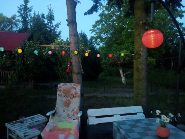 Działka rod Poddębice, ul. Północna. Zdjęcie 5