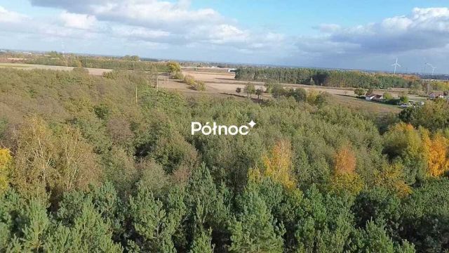 Działka rolna Michalin. Zdjęcie 2