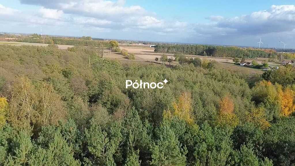 Działka rolna Michalin. Zdjęcie 2