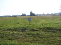 Działka rolna Budy Krępskie. Zdjęcie 1