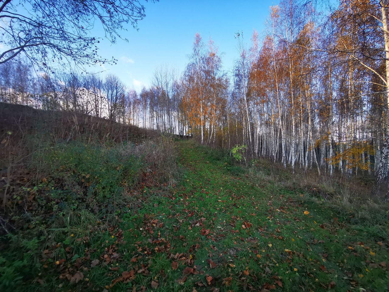 Działka budowlana Bisztynek. Zdjęcie 17