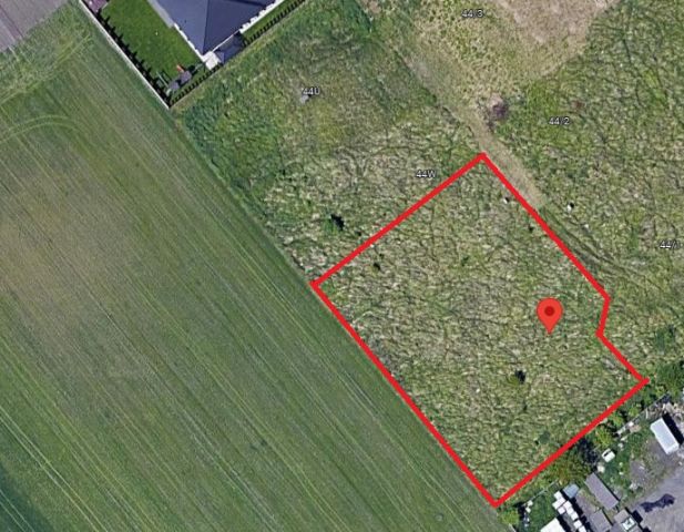 Działka budowlana Wojciechówka. Zdjęcie 4