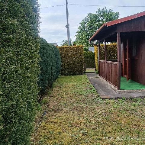 Działka rekreacyjna Żyrardów, ul. Wypoczynkowa. Zdjęcie 1