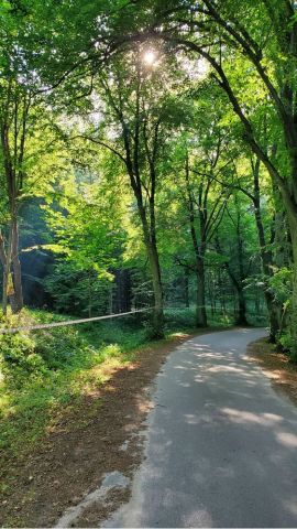 Działka budowlana Świerkocin. Zdjęcie 1