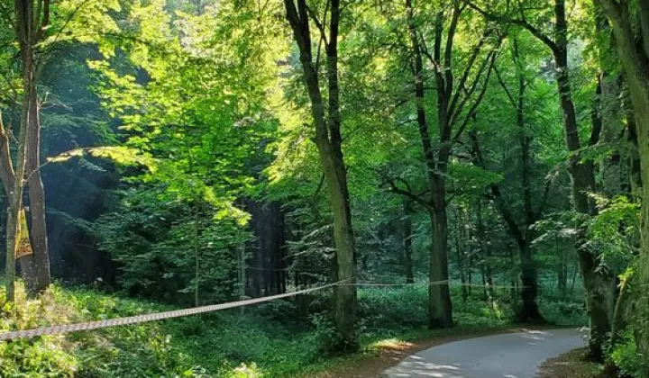 Działka budowlana Świerkocin