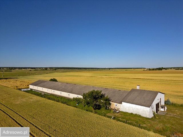 Hala/magazyn Łabunie, ul. Zamojska. Zdjęcie 1