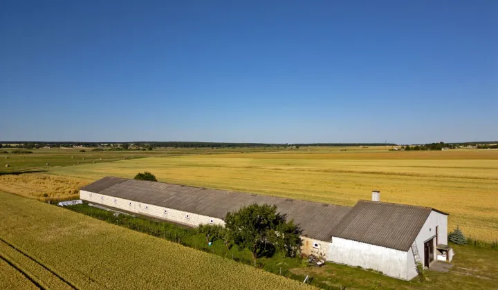 Hala/magazyn Łabunie, ul. Zamojska