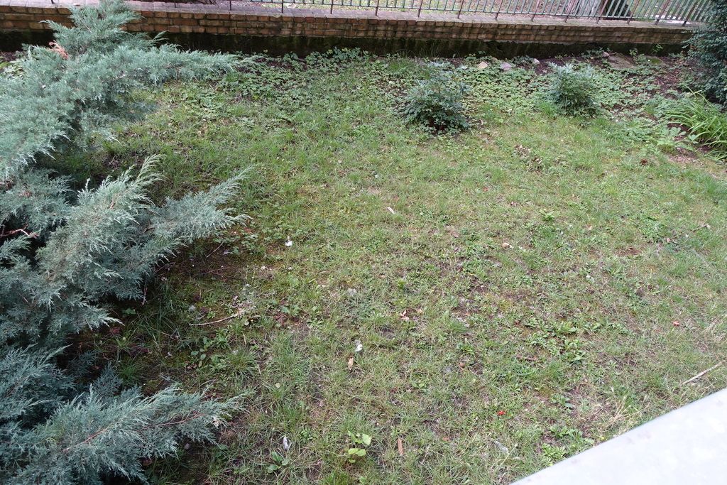 Mieszkanie 2-pokojowe Szczecin, ul. 1 Maja. Zdjęcie 20