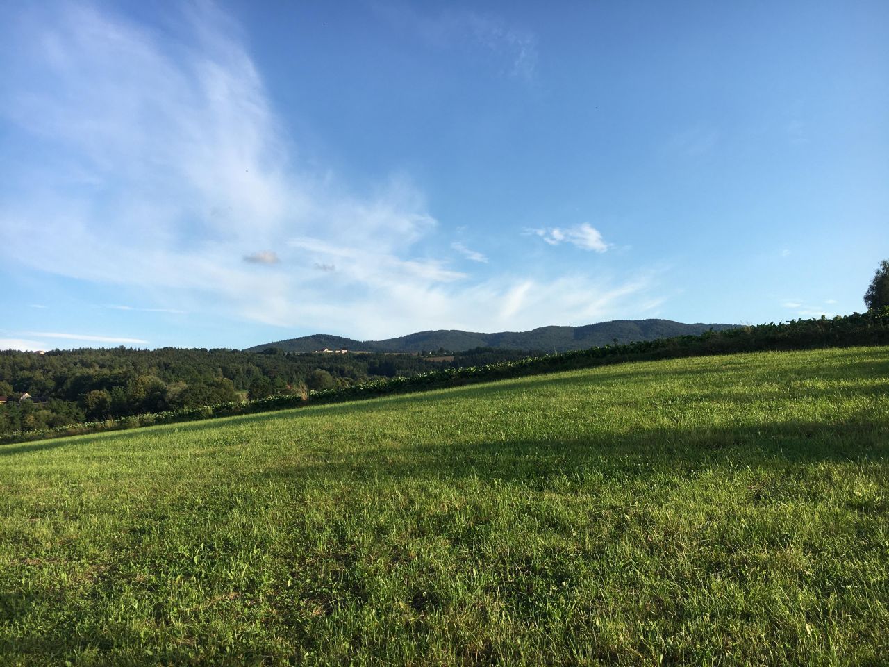 Działka budowlana Kierlikówka Orzechówka. Zdjęcie 6