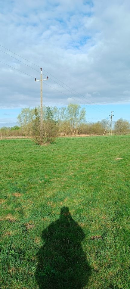 Działka budowlana Jędrzychów. Zdjęcie 3