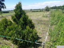 Działka rolna Sadków. Zdjęcie 2