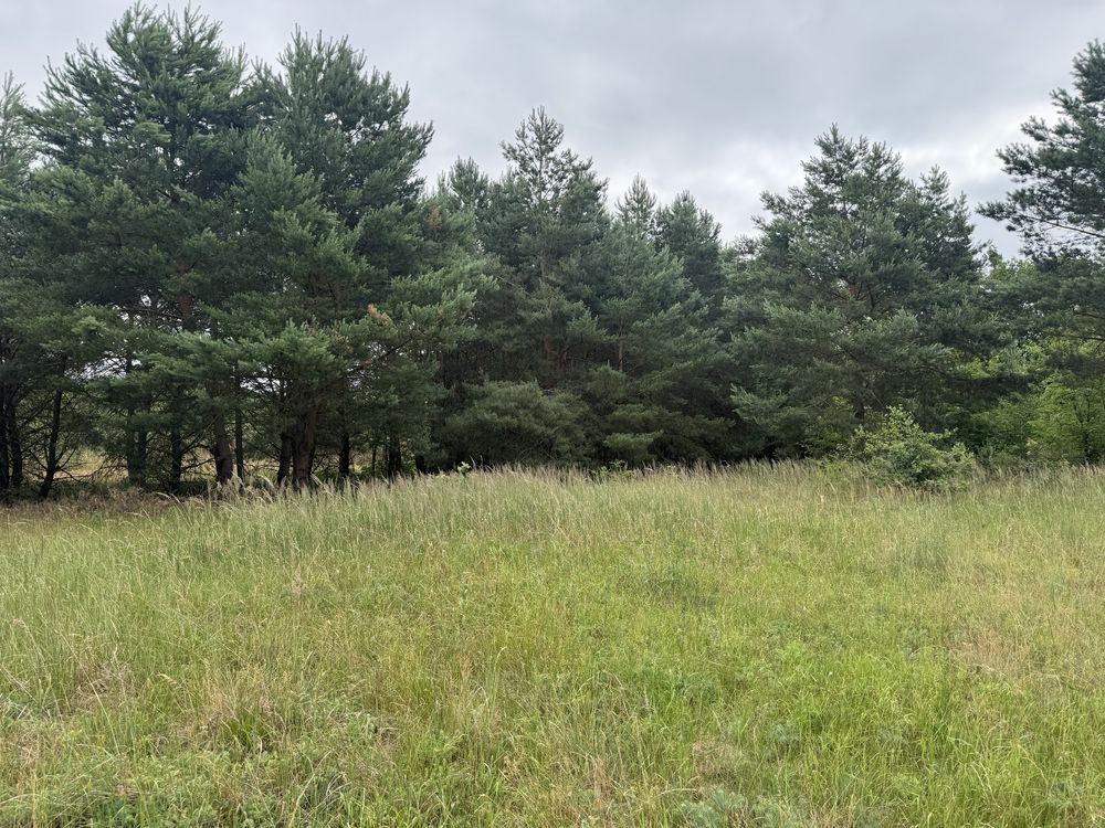 Działka budowlana Nowe Biskupice. Zdjęcie 3