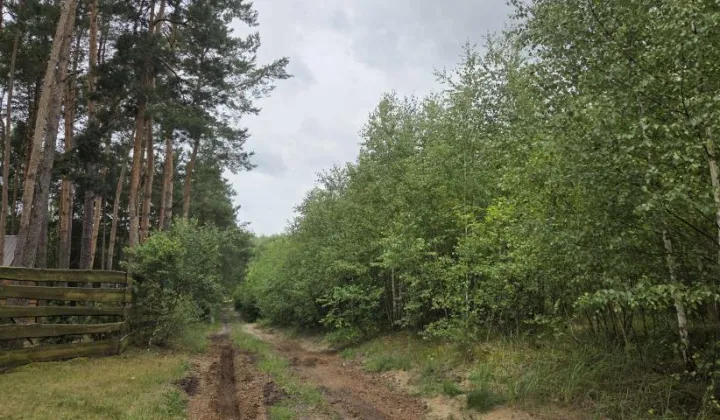 Działka rekreacyjna Królewo