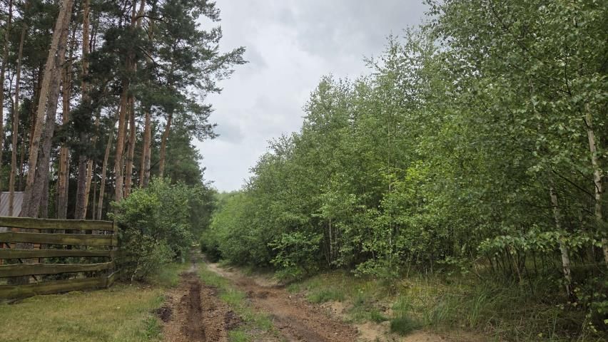 Działka rekreacyjna Królewo. Zdjęcie 1