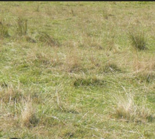 Działka budowlana Jarosław, ul. Zwierzyniecka. Zdjęcie 1