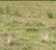 Działka budowlana Jarosław, ul. Zwierzyniecka