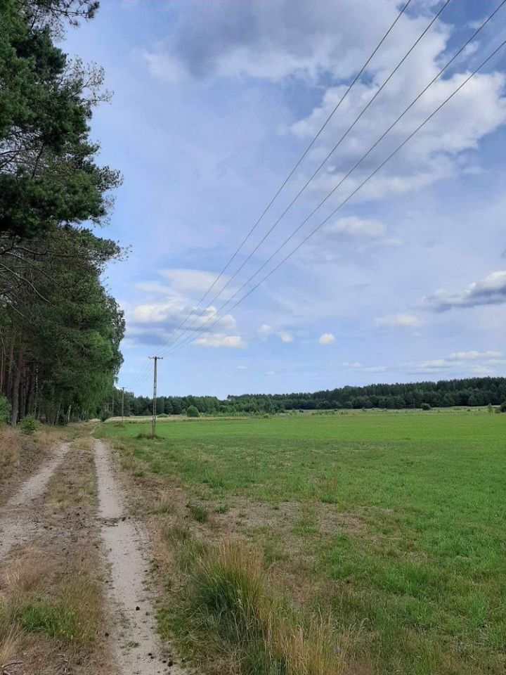 Działka rolno-budowlana Bąk. Zdjęcie 2