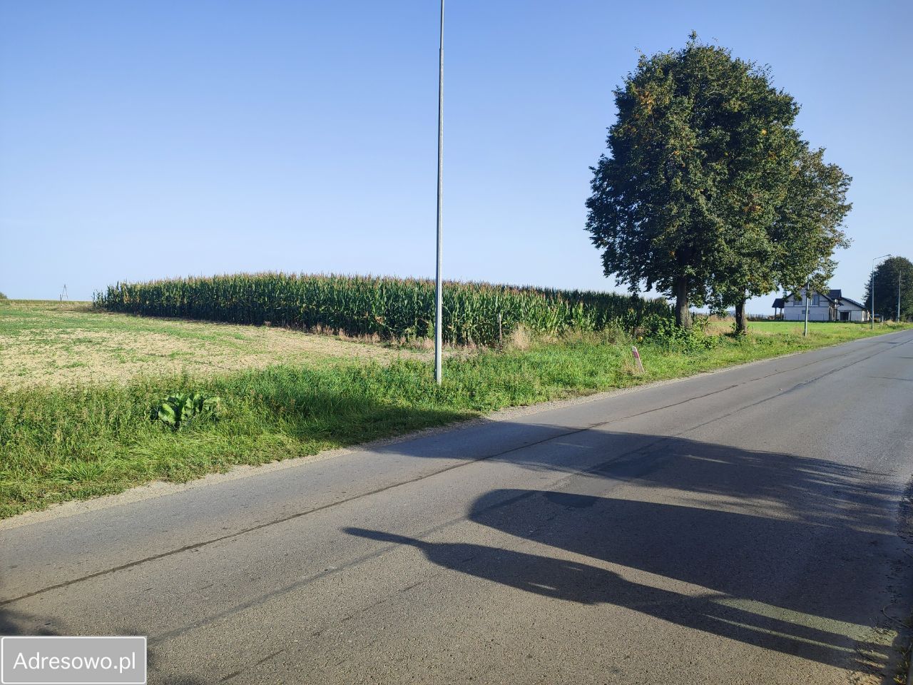 Działka budowlana Bełżyce, ul. Przemysłowa. Zdjęcie 3