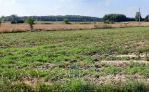 Działka rolna Rudno. Zdjęcie 4