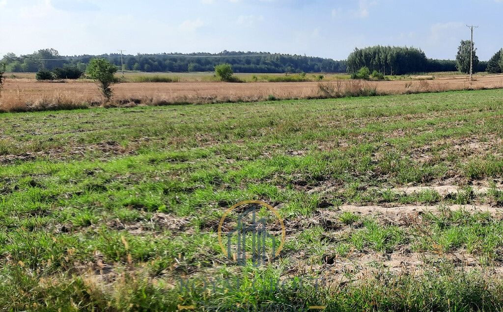 Działka rolna Rudno. Zdjęcie 6
