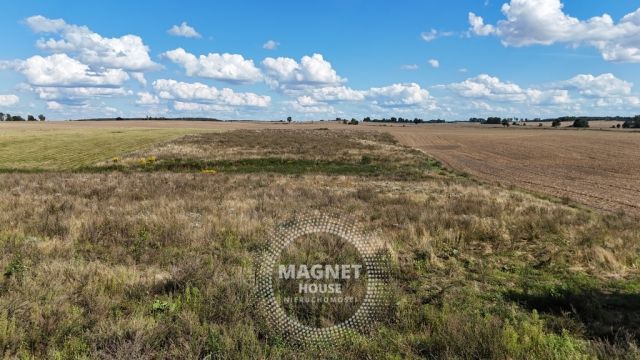 Działka rolna Rutwica. Zdjęcie 13