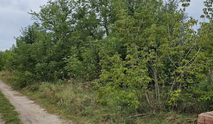 Działka budowlana Budy Zaklasztorne