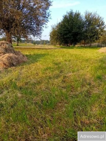 Działka budowlana Radkowice. Zdjęcie 1