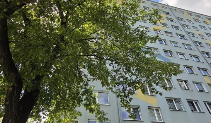 Mieszkanie 3-pokojowe Wrocław Gaj, ul. Krynicka