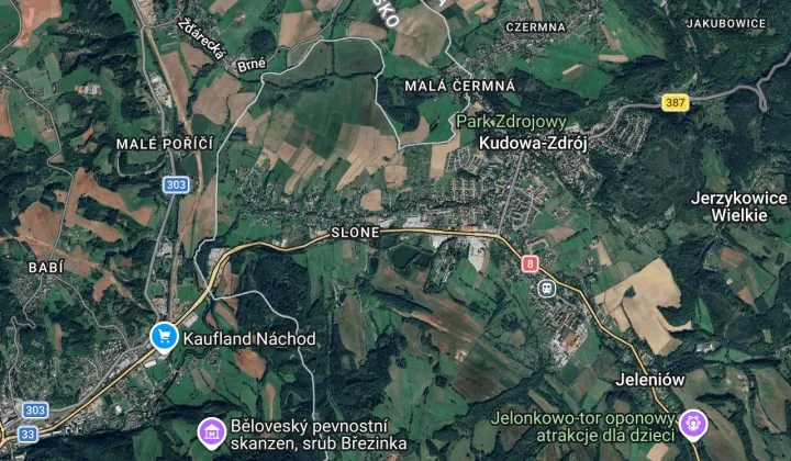 dom wolnostojący Kudowa-Zdrój, ul. Główna