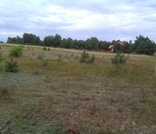 Działka budowlana Hucisko, ul. Wrzosowa. Zdjęcie 2