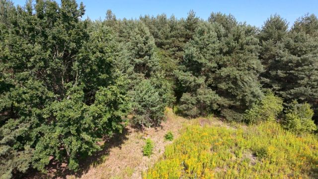 Działka budowlana Kady. Zdjęcie 1