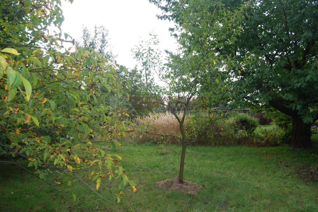 dom wolnostojący, 4 pokoje Niemce, ul. Willowa. Zdjęcie 37