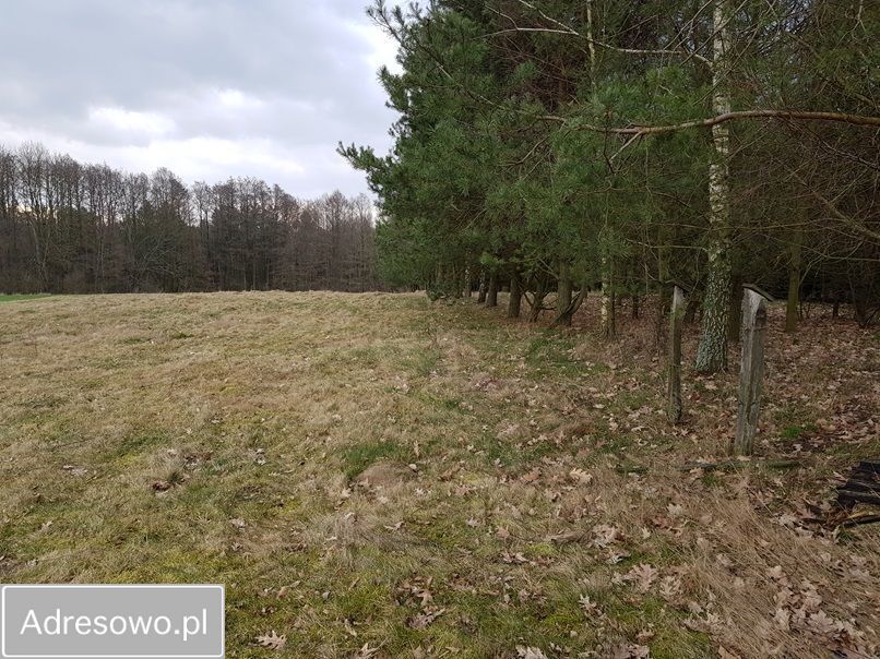 Działka rolna Ossówno. Zdjęcie 6