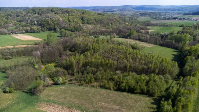 Działka rolna Laskówka. Zdjęcie 28
