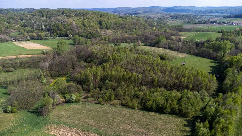 Działka rolna Laskówka. Zdjęcie 28