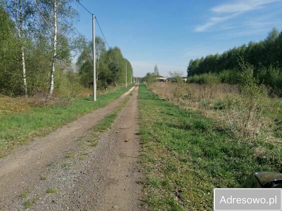 Działka siedliskowa Siedlec Duży, ul. Jana Pawła II. Zdjęcie 5
