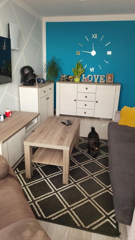 Mieszkanie 2-pokojowe Wołów, al. Niepodległości. Zdjęcie 3