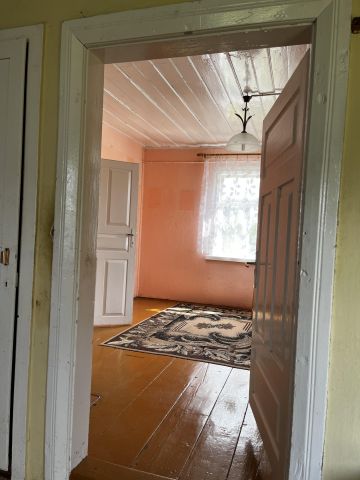 Działka siedliskowa Gruszki. Zdjęcie 11