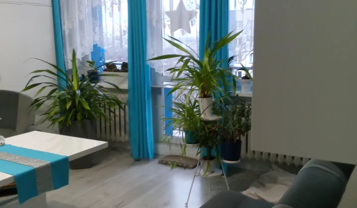 Mieszkanie 2-pokojowe Zabrze Centrum, ul. Marii Curie-Skłodowskiej