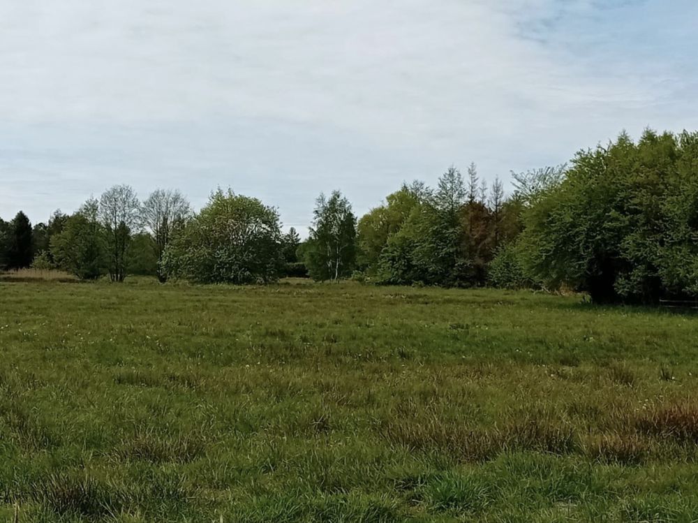 Działka rekreacyjna Karwieńskie Błoto Drugie. Zdjęcie 2