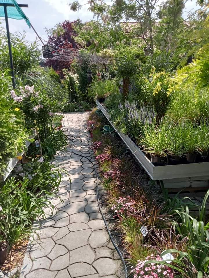 Lokal Płock Podolszyce, ul. Gościniec. Zdjęcie 4