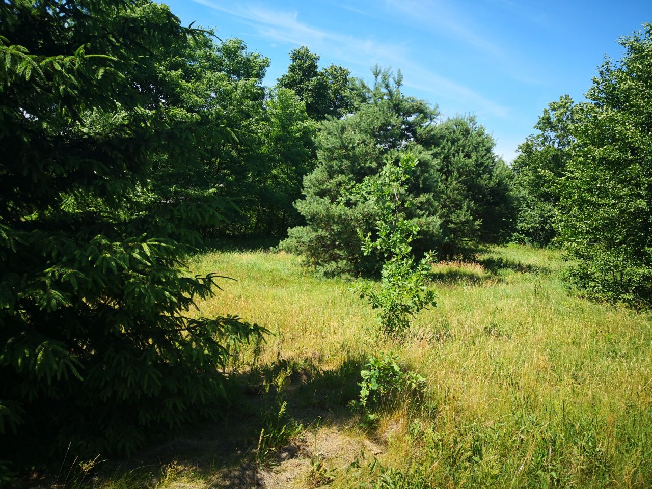 Działka budowlana Słopsk, ul. Kolonijna