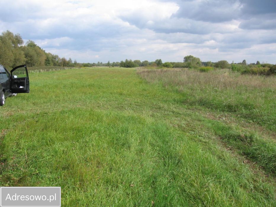 Działka rolna Wrzelów. Zdjęcie 8
