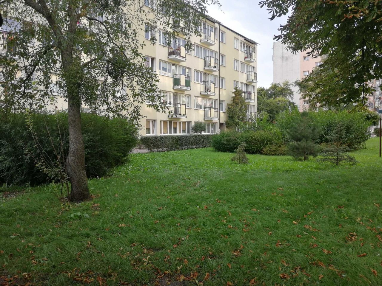 Mieszkanie 2-pokojowe Grudziądz Tarpno, ul. Piastowska