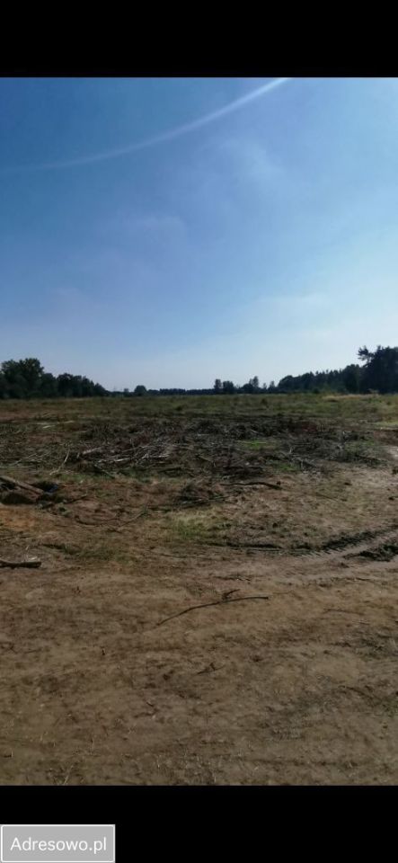 Działka inwestycyjna Miłogostowice. Zdjęcie 5