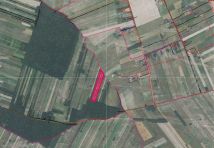 Działka rolna Sosnówka. Zdjęcie 1