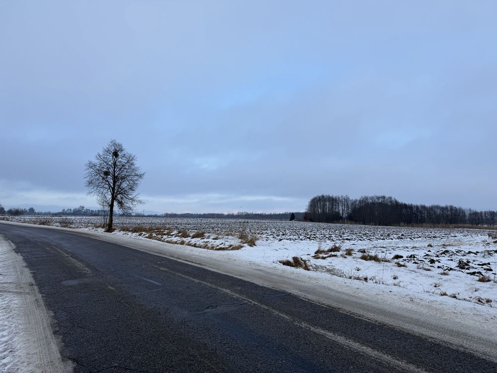 Działka budowlana Szyleny Szyleny-Kolonia. Zdjęcie 6